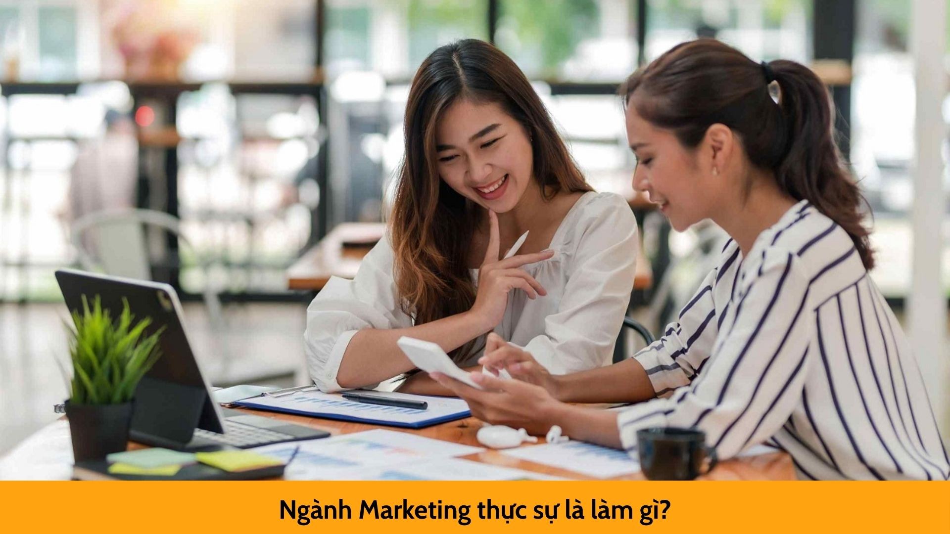 Ngành Marketing thực sự là làm gì?